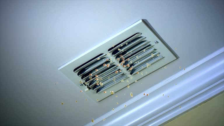 Best Air Vent Cleaning Services  in Cochranton, PA